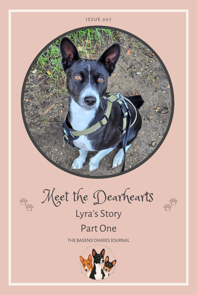 Meet the Dearhearts: Lyra's Story — Part One