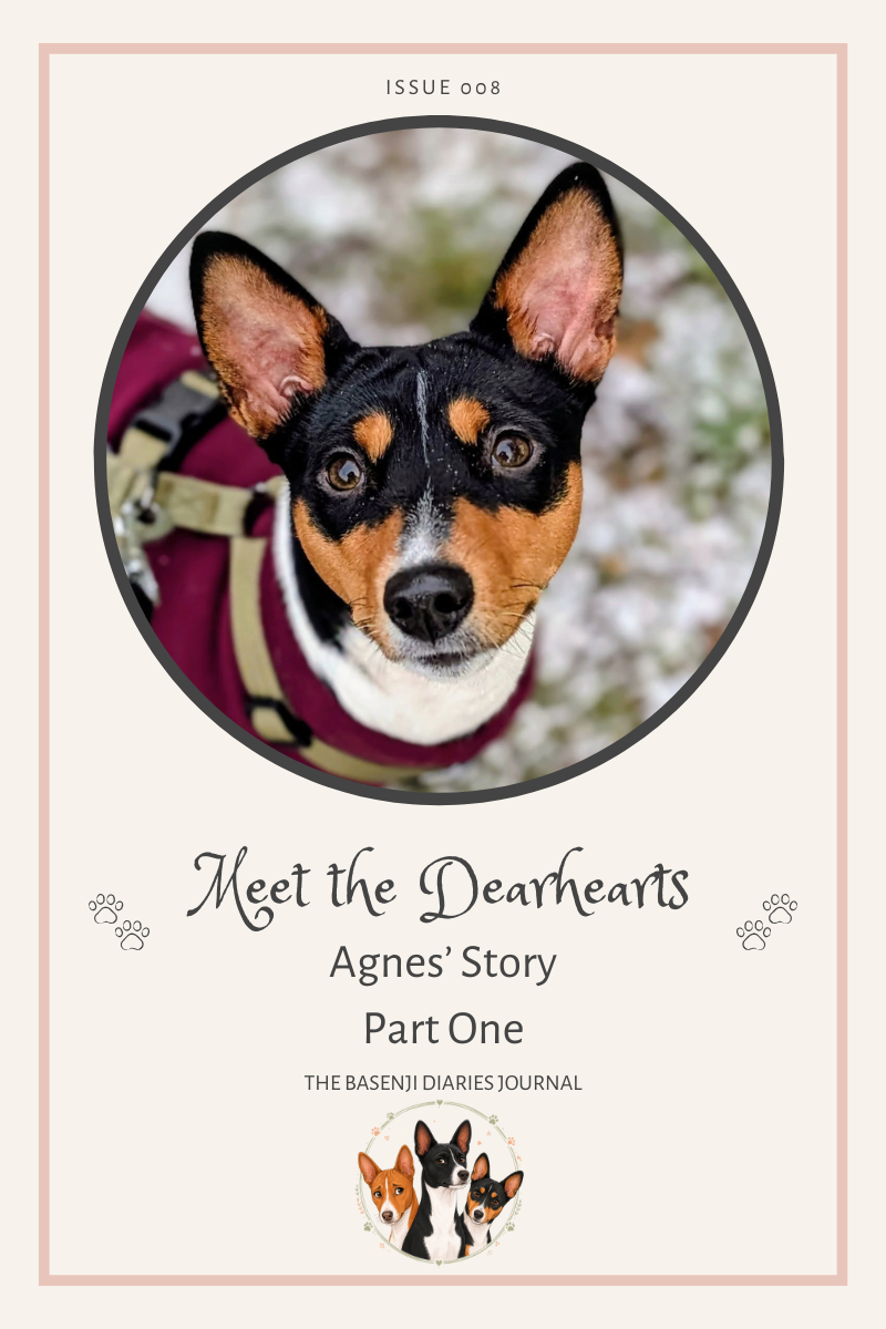 Meet the Dearhearts: Agnes' Story — Part One