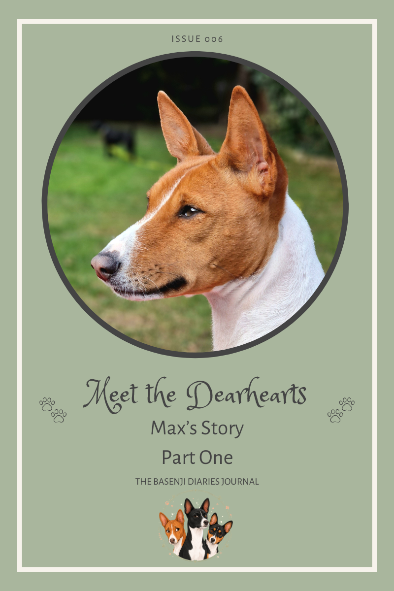 Meet The Dearheart's: Max's Story - Part One