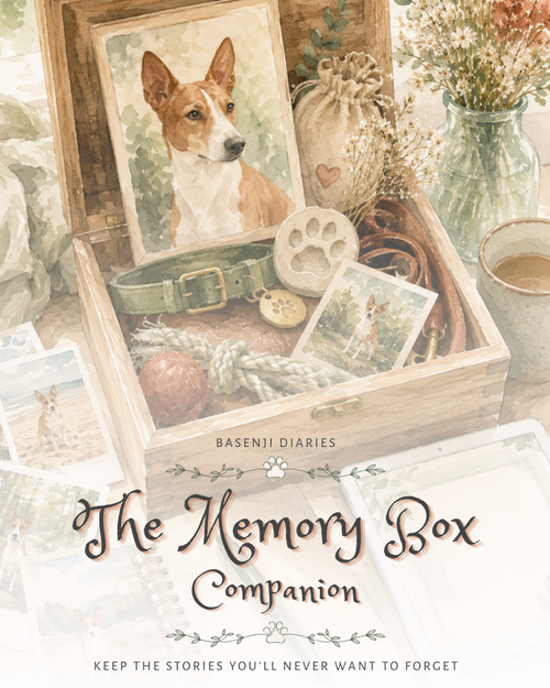 The Memory Box Companion